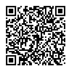 仅仅只是动作当中天然流露出来的一丝气质就令拉菲尼雅连退数步二维码生成