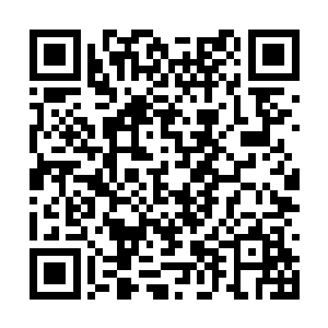 仅仅只是应用了蚂蚁尸兄最本能的百倍力量的能力二维码生成