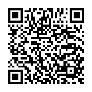 仅仅只是观摩一尊雕像便可以造就一个大贤者级别的超级强者二维码生成
