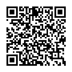 仅仅只比pdd等几位人气爆棚的明星选手差一点儿二维码生成