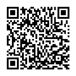仅仅只用了半天多一点的时间便直接来到了南域的凶兽大本营二维码生成