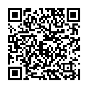 仅仅吸纳了一小部分思维特别开放的专家学者加入二维码生成