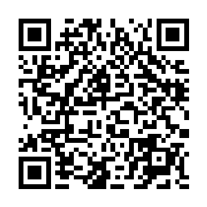 仅仅因为你们绿龙更加阴险狡诈便认定你们更加有智慧二维码生成