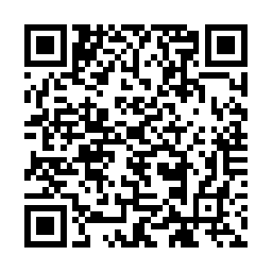 仅仅因为历史可能被篡改而出现对应记忆的部分模糊二维码生成