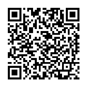 仅仅在战争中死去的人口就已经达到了三四十万之巨二维码生成