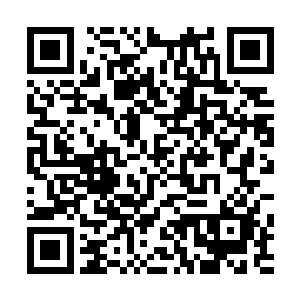 仅仅对人类抱有敌意的scp是不会被编级为keter级的二维码生成