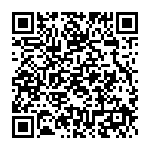 仅仅是一个眼神就可以轻易阅读出莱昂纳多的紧张――再明显不过了二维码生成