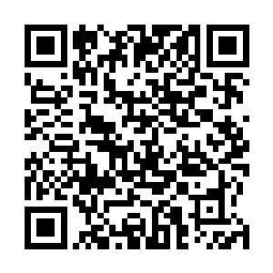 仅仅是临海市排名第三的南龙帮帮主柳天南的大女儿而已二维码生成