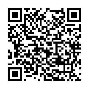 仅仅是从古老的典籍中看到过三言两语的记载而已二维码生成