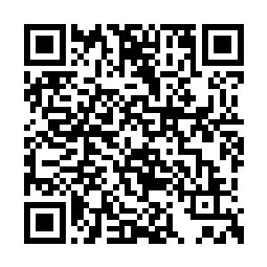 仅仅是他们吸收和传输信息的本能被抑制了而已二维码生成