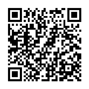 仅仅是到了二十一代的时候便是族内人数过了百二维码生成