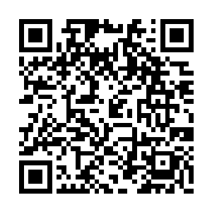 仅仅是剧本阶段就得到了二十世纪福克斯的青睐二维码生成