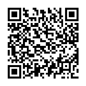 仅仅是将备用的洗漱工具和夏天换洗的衣裤拿来了而已二维码生成