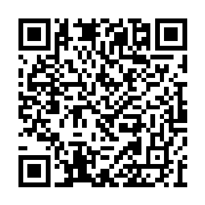 仅仅是气势就压迫的周围无数的圣皇飞速的退后二维码生成