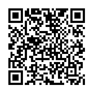 仅仅是燕京第一美女的名头就已经足够诱人――二维码生成