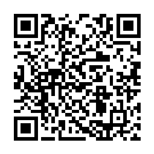 仅仅是画面上的圣道威能就足以让自己参悟到封祖二维码生成