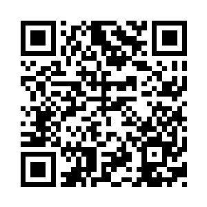 仅仅是给大家表现一下他不怕强者的勇气二维码生成