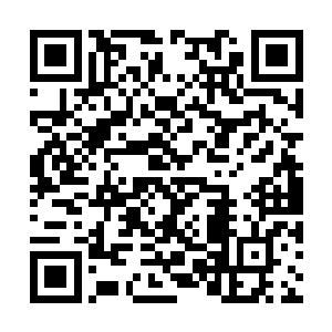 仅仅爆发出一点气息也根本就不是老者能够承受的二维码生成