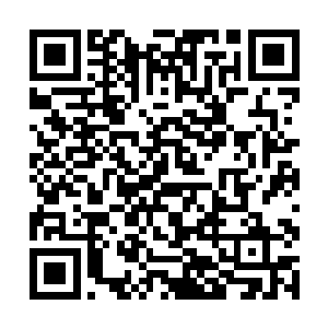 仅仅能看到他始终没有被周围植物遮住的双眼的时候二维码生成