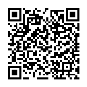 仅仅青色道袍者揉了揉自己新收弟子江芷微的脑袋二维码生成