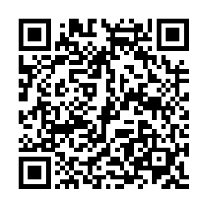 仅仅靠我们珠江这一家WL时尚设计总公司恐怕力有不逮二维码生成