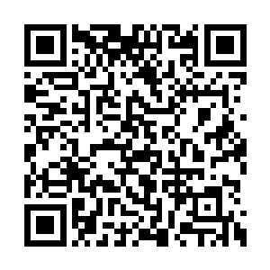 仅今年下半年就有两家运输公司在洼崮建立起来二维码生成