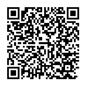 仅从卓西泽对于慕慕寄予厚望看来就知道慕慕在家里必定被限制了许多二维码生成