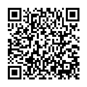 仅从它与北王府的距离就能知道这是淮北王最得力的手下的院子二维码生成