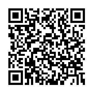 仅凭自己想拯救数百万的召唤兽根本是不现实的二维码生成