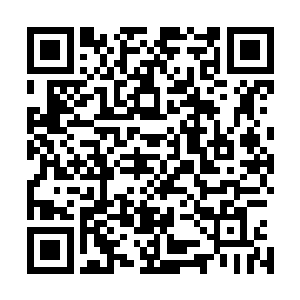 仅剩下几个还能站立的土城战士愤怒又茫然地站在大厅正中二维码生成