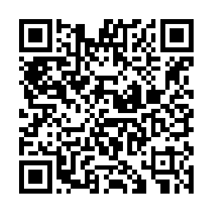 仅剩下的那点勇气早就被连日的赶路和饥饿给碾碎了二维码生成