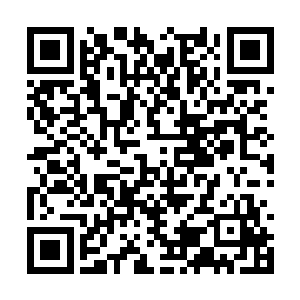 仅在发现学生出现意外事故时才能启动的联系方式二维码生成