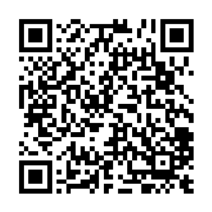仅是他叫来的这群人就比八荒任何一个势力都强大二维码生成