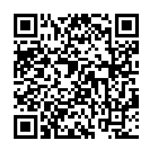 仅是这两界贸易带来的财富就足够他躺在仙药上睡觉二维码生成