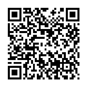 仅此一点就能看出蓝岛市委在这方面工作上的不严谨和随意性二维码生成