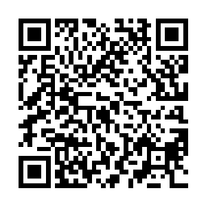 仅要收集能够织成一件衣服的蚕丝就需要上百年的时间二维码生成