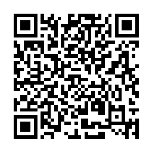仆从簇拥着两位年约四十余岁的中年夫妇走了过来二维码生成
