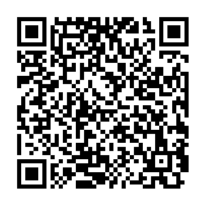 仇逸清仇逸云等人身穿孝子服带着仇家小一辈的站在门口接待宾客二维码生成