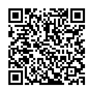今儿一早我就看到大小姐带着她院子里的丫鬟坐着马车离开了二维码生成