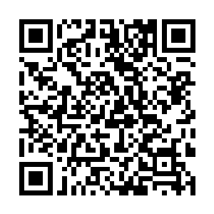 今后再也不用担心在这须弥海修仙界没有根基之地了二维码生成