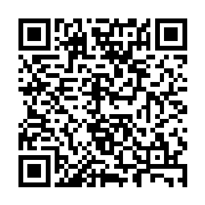 今后剧情又可能会怎样发展……等这些捋得差不多了二维码生成