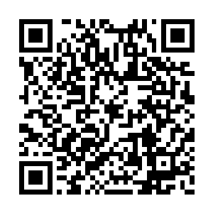 今夜的家访因为郭承天的这一个意外变故而取消二维码生成