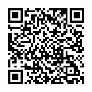 今天一天受到的打击比我当判官这么多年受到的打击总和还要多二维码生成