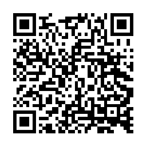 今天下午来清远侯府参加婚宴的时候并没有看到洛悠悠二维码生成