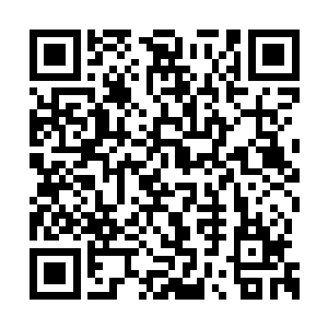 今天京里面有头有脸的那些官家夫人也许都回来二维码生成
