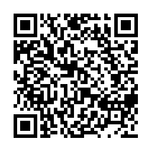 今天刘某人来到贵府就是帮助杨兄你来出谋划策二维码生成