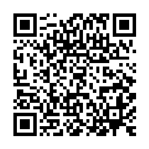 今天去九五五号的时候苏凡已经发现那里的空间已经不太够了二维码生成