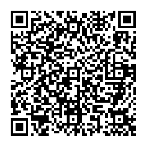 今天发生的一切　实在是太过于神奇了　而当这些事情发生之后　几乎所有人的视线　都集中到了这两人的身上二维码生成