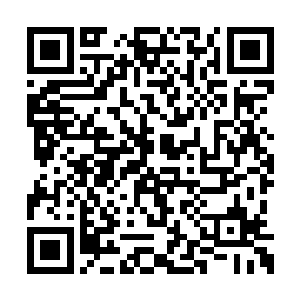 今天只是一个照面她竟然就察觉自己不是原主了二维码生成