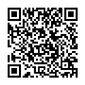 今天在市集上的人离去时将都带着那四件骨器的诅咒二维码生成